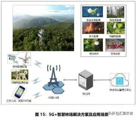 典型应用场景与用户案例