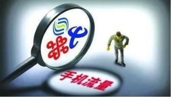 专业用户的高级省费策略