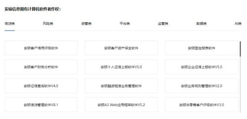 多链资产管理风险控制