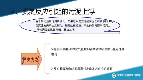 常见问题及解决方案