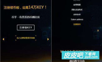 支持的区块链与代币生态