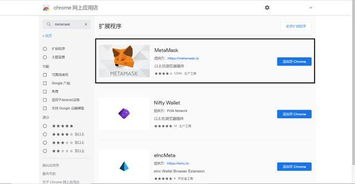 新用户钱包创建完整教程