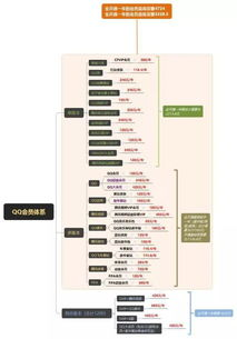 2. 增值服务订阅体系