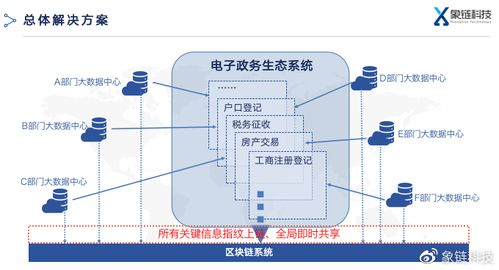 四、多链网络下的地址显示逻辑