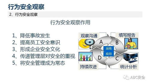 安全存储：SHIB代币的保管策略
