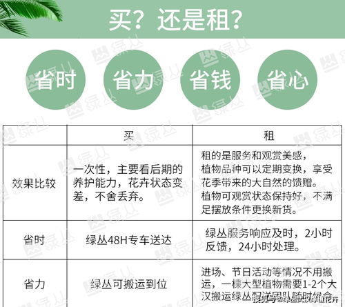 四、能量租赁与购买的比较选择