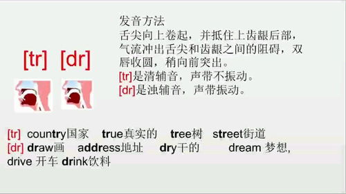 三、英语母语者发音示范