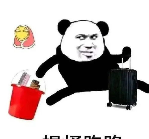 四、接收与发送DOGE实操指南