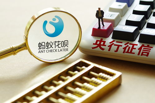 瑞士基金会治理的合规升级