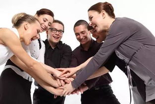 四、令人质疑的团队背景