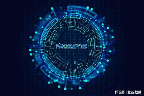 五、专业数据恢复服务评估