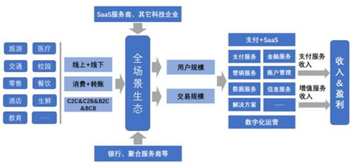 五、社区生态与增值服务对比