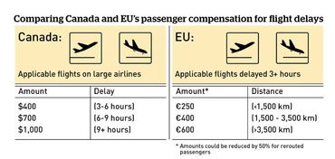 二、立即执行的紧急止损措施