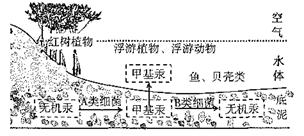 功能与生态系统的差异