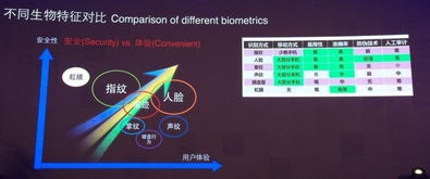 安全性与用户体验对比
