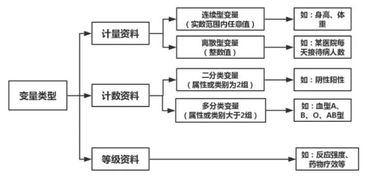 影响手续费的关键变量解析