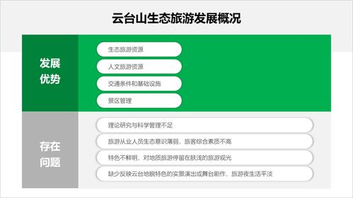 优化金额显示准确性的实用技巧