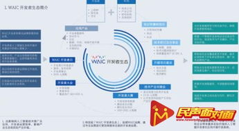 开发者生态支持体系解析