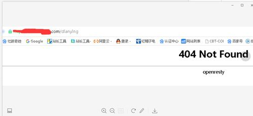 二、未添加代币合约地址的显示遗漏