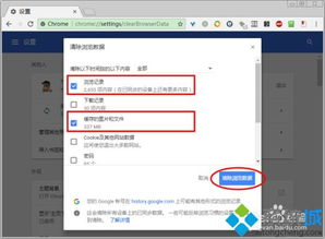 浏览器缓存与DNS污染问题