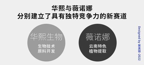 构建于密码学前沿的技术护城河