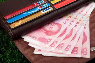 四、观察钱包的典型使用场景解析