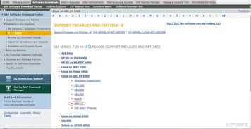 一、地址格式错误的基本识别