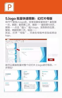 提升领币效率的实用技巧与工具