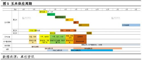 影响兑换稳定性的关键变量