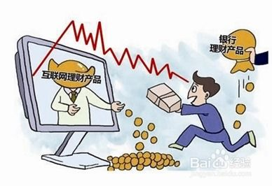 风险管理与收益最大化策略