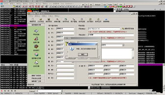 四、验证官网服务器状态