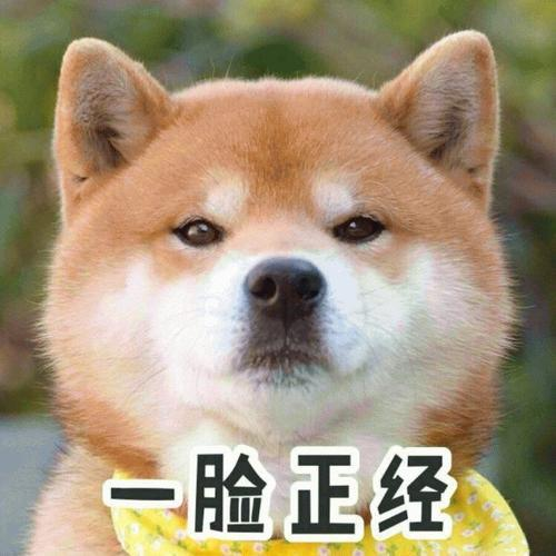 二、DOGE收款地址获取方法
