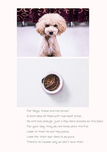 三、安全转入DOGE的操作流程