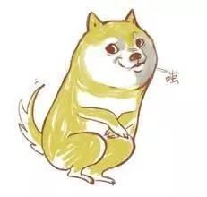 五、DOGE转账与日常管理技巧