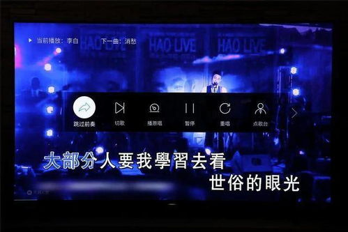 四、国际版专属功能深度体验