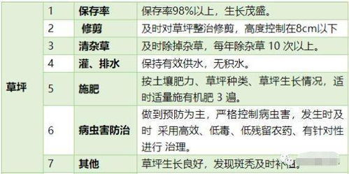 助记词备份的五大黄金准则