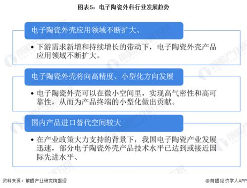 市场竞争格局与替代产品威胁