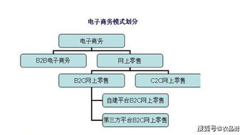 商业模式与可持续发展能力