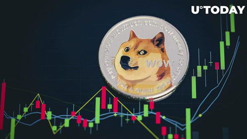 分步添加DOGE代币的实操流程