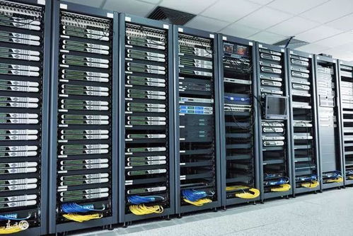 二、官网服务器状态实时核查