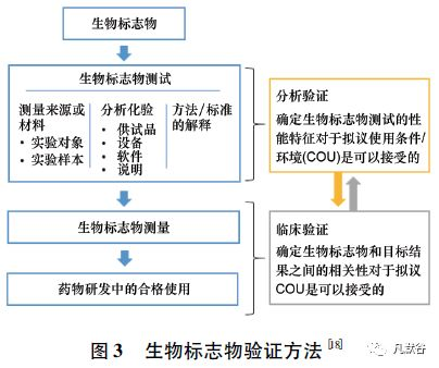 生物识别与二次验证机制