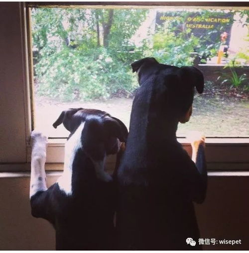 Common Misconceptions About the English Name