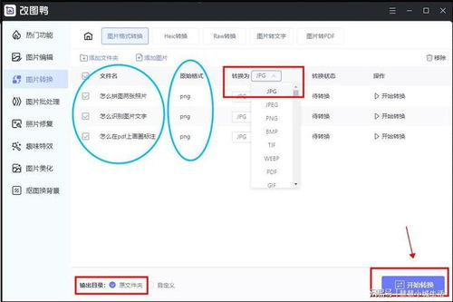 详细操作步骤：从USDT到TRX的完整转换