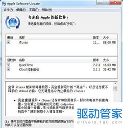 版本更新与安全维护策略