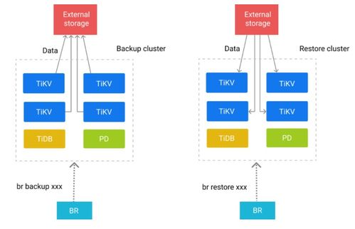 二、触发冻结操作的典型场景分析