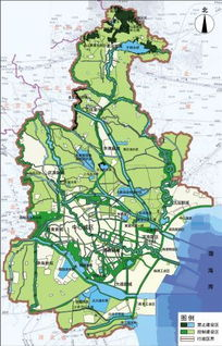 生态布局与未来规划