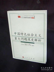 中国版特色功能深度解析