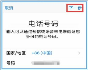 PIG代币的链上存储验证