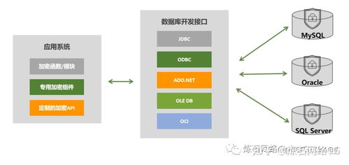 BTC存储功能的技术实现原理