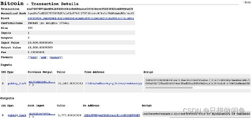 三、使用区块链浏览器深度查询余额